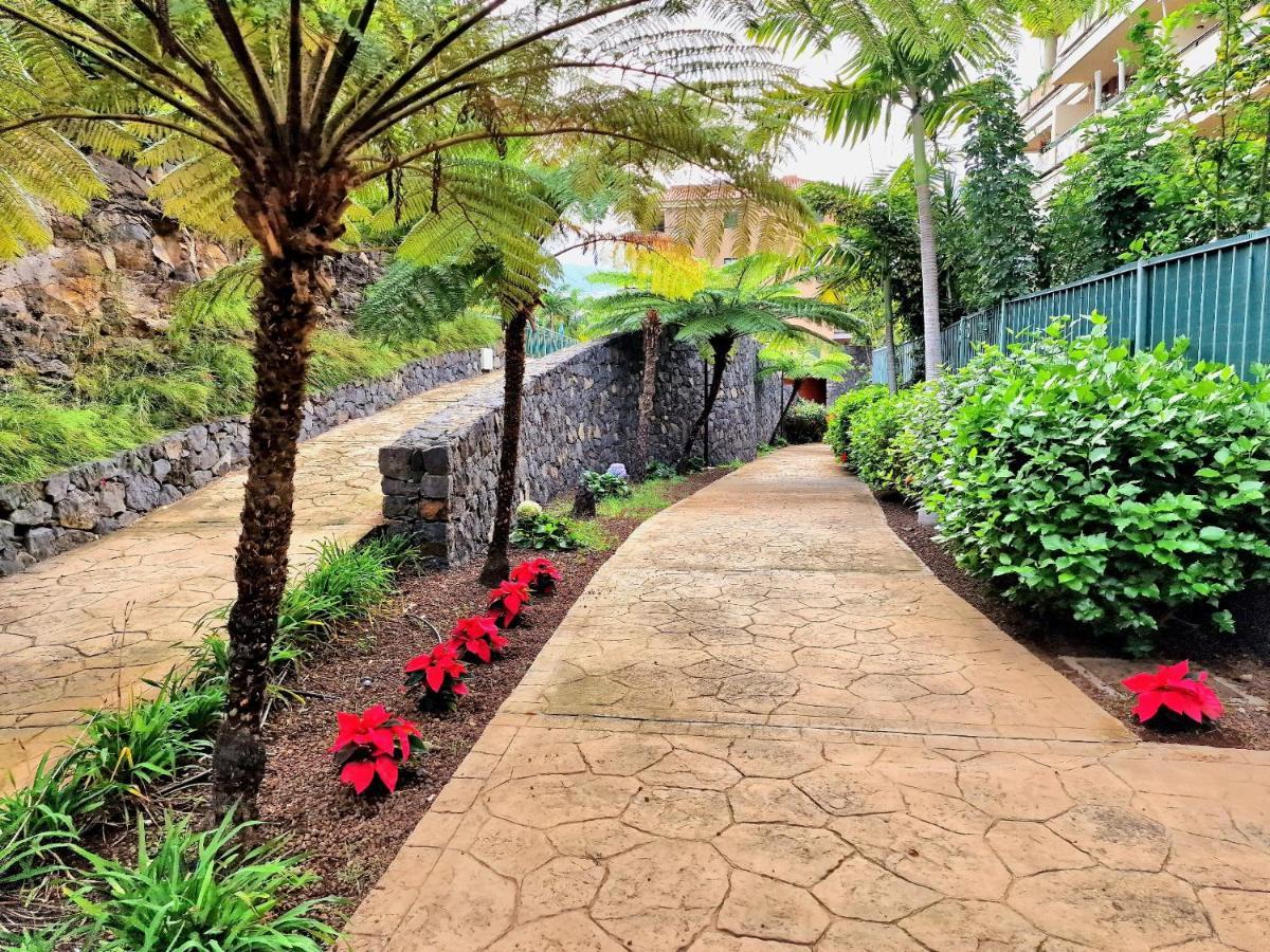 Durazno Tropical Apartment Puerto De La Cruz Zewnętrze zdjęcie