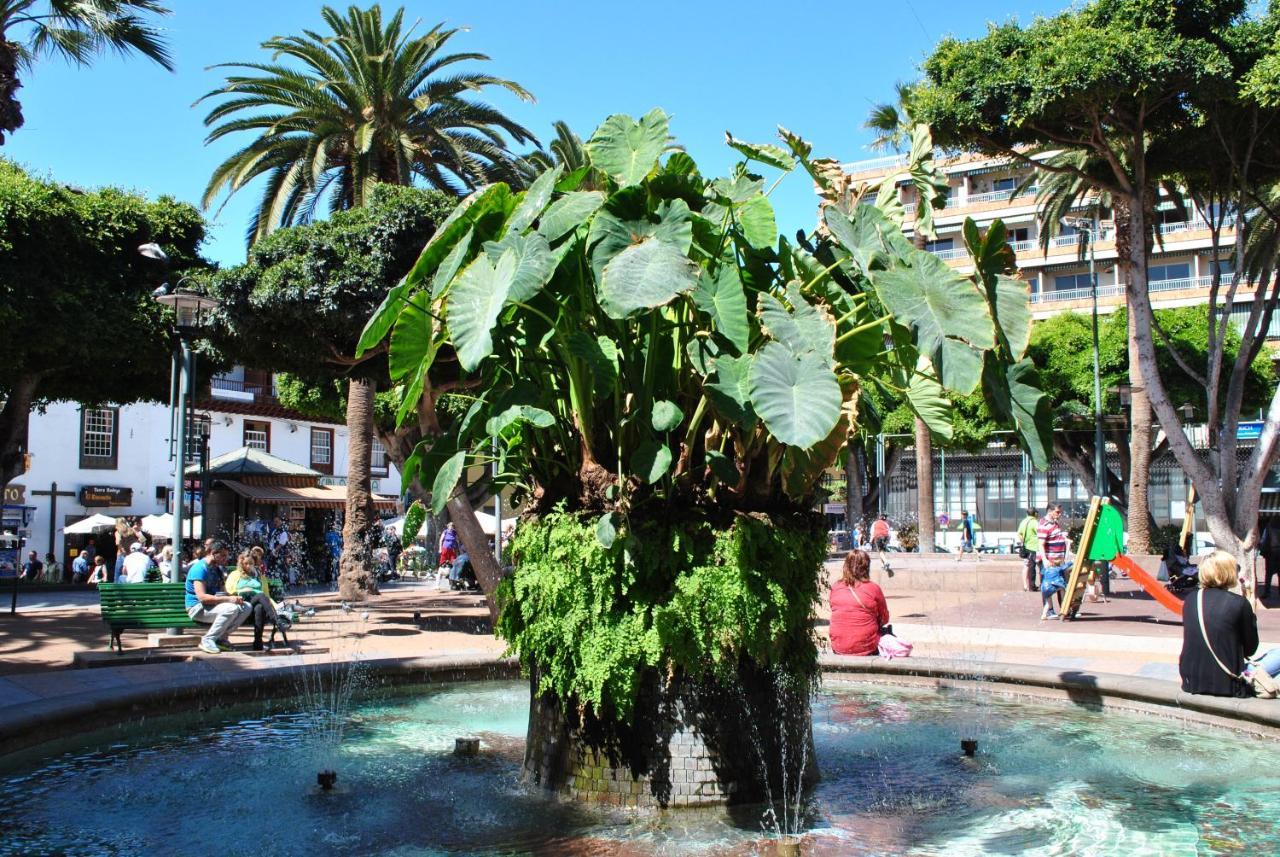 Durazno Tropical Apartment Puerto De La Cruz Zewnętrze zdjęcie